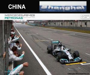 yapboz Lewis Hamilton 2014 Çin Grand Prix şampiyonu
